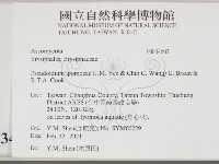 登錄號:F0034602藏品圖，第2張