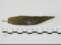 登錄號:F0034602藏品圖，第3張