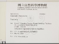 白粉病藏品圖，第2張