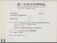 白粉病藏品圖，第2張