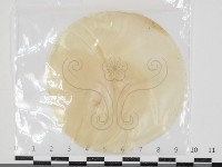 登錄號:F0034606藏品圖，第1張