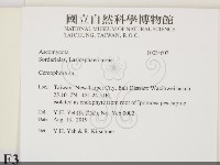 登錄號:F0034607藏品圖，第2張