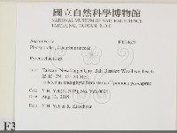 登錄號:F0034609藏品圖，第2張