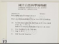 登錄號:F0034610藏品圖，第2張