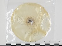 登錄號:F0034610藏品圖，第1張