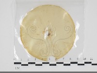 登錄號:F0034613藏品圖，第1張