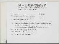 登錄號:F0034614藏品圖，第2張