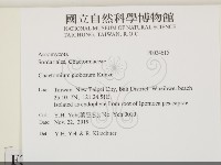 登錄號:F0034615藏品圖，第2張