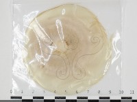 登錄號:F0034615藏品圖，第1張