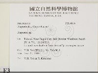 登錄號:F0034616藏品圖，第2張