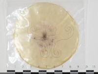 登錄號:F0034616藏品圖，第1張