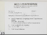 登錄號:F0034619藏品圖，第2張