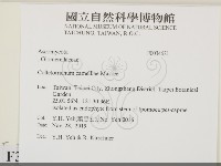 登錄號:F0034621藏品圖，第2張