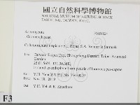 登錄號:F0034624藏品圖，第2張