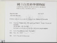 登錄號:F0034627藏品圖，第2張