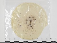 登錄號:F0034627藏品圖，第1張