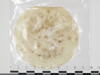 登錄號:F0034628藏品圖，第1張
