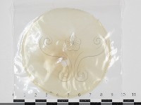 登錄號:F0034629藏品圖，第1張