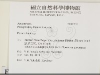 登錄號:F0034630藏品圖，第2張