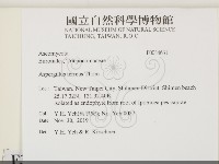 登錄號:F0034631藏品圖，第2張