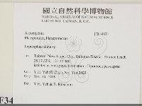 登錄號:F0034633藏品圖，第2張