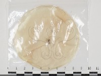 登錄號:F0034633藏品圖，第1張