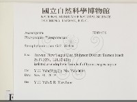 登錄號:F0034636藏品圖，第2張