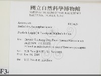 登錄號:F0034637藏品圖，第2張