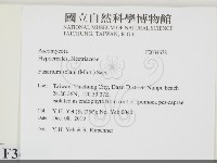登錄號:F0034638藏品圖，第2張
