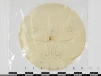 登錄號:F0034638藏品圖，第1張
