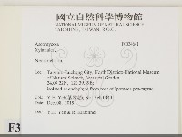 登錄號:F0034641藏品圖，第2張