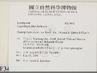 登錄號:F0034642藏品圖，第2張