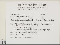 登錄號:F0034645藏品圖，第2張