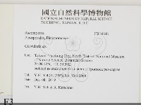 登錄號:F0034646藏品圖，第2張