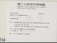 登錄號:F0034648藏品圖，第2張
