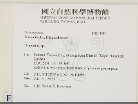 登錄號:F0034653藏品圖，第2張