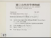 登錄號:F0034655藏品圖，第2張