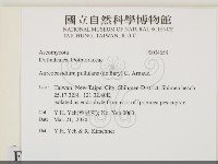 登錄號:F0034658藏品圖，第2張