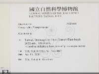 登錄號:F0034664藏品圖，第2張