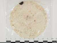 登錄號:F0034665藏品圖，第1張