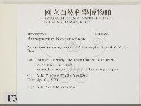 登錄號:F0034666藏品圖，第2張