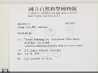 登錄號:F0034667藏品圖，第2張