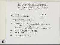 登錄號:F0034668藏品圖，第2張