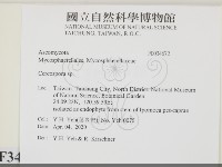 登錄號:F0034672藏品圖，第2張