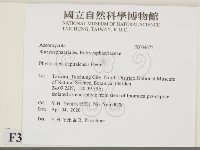 登錄號:F0034675藏品圖，第2張