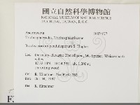 登錄號:F0034677藏品圖，第2張