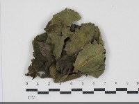 登錄號:F0034678藏品圖，第1張