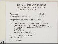 登錄號:F0034679藏品圖，第2張