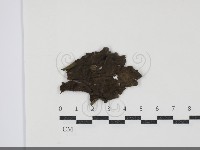 登錄號:F0034679藏品圖，第1張