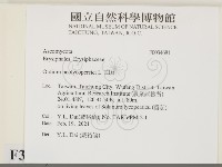登錄號:F0034681藏品圖，第2張